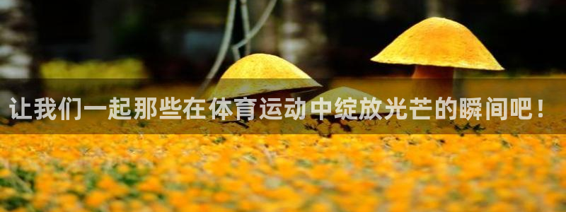 注册JJB竞技宝官方正版app:让我们一起那些在体育运动中绽