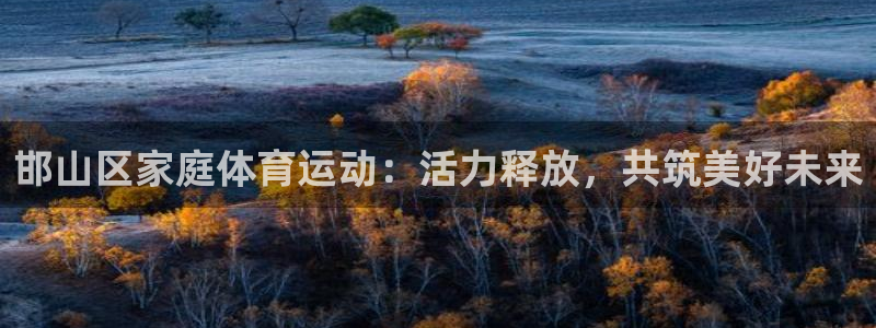 JJB竞技宝官方正版app娱乐网站:邯山区家庭体育运动:活力